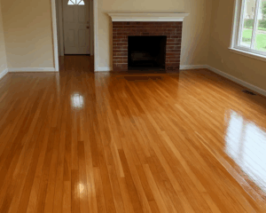 Best Hardwood Floor Cleaning