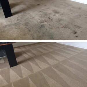 carpet cleaning