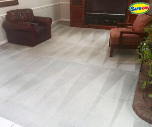 carpet cleaning