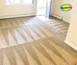 carpet cleaning