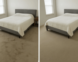 Best Residential Carpet Cleaning