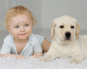 Hypoallergenic Carpet Cleaning, Baby Crawling on Carpet