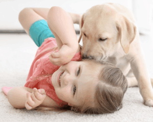 Hypoallergenic Carpet Cleaning, Baby Crawling on Carpet