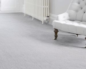 Modern home with clean carpet