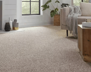 Modern home with clean carpet