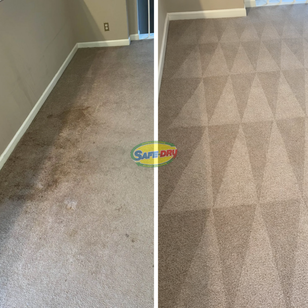Before and After Carpet Cleaning