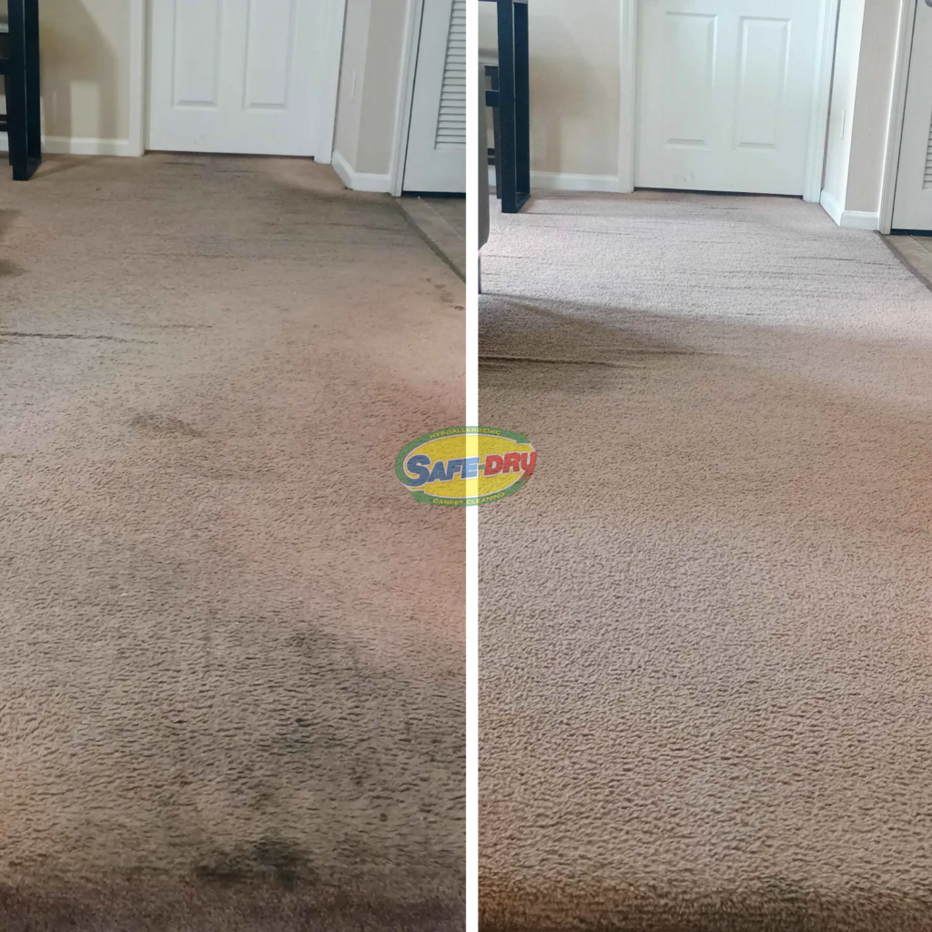 Before and After Carpet Cleaning