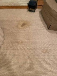 stains on rug